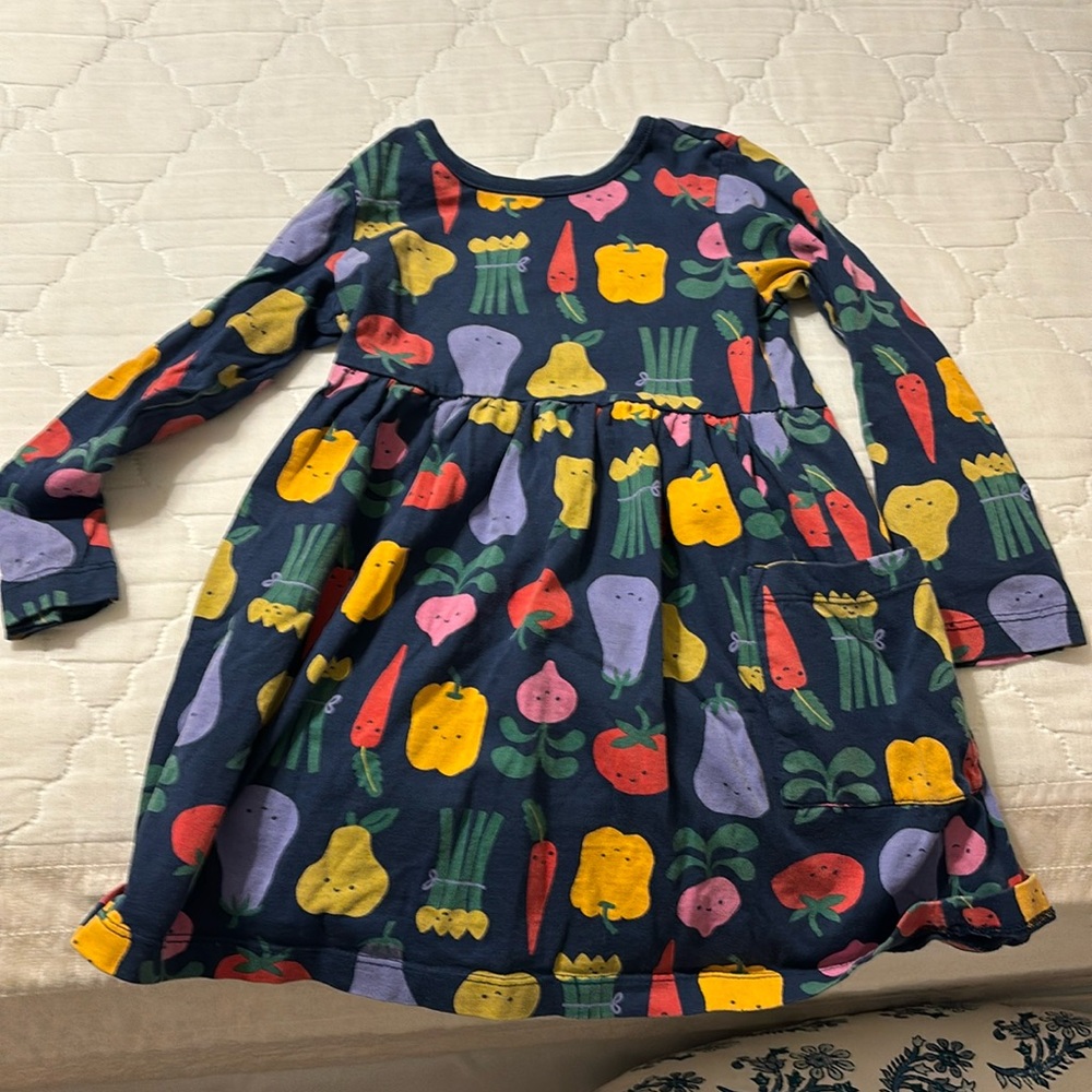 Hanna Andersson 4 dress
